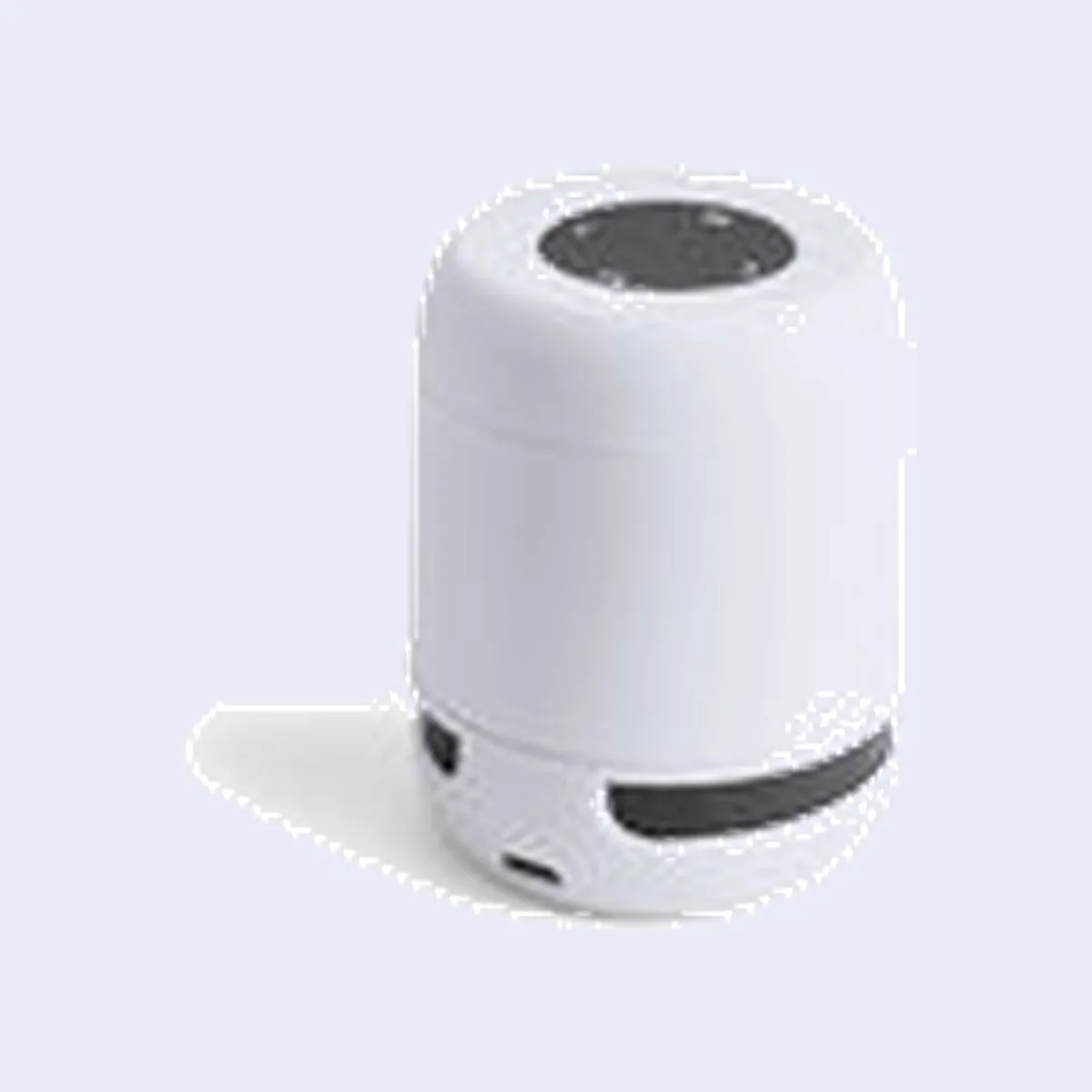Altavoz Braiss 2